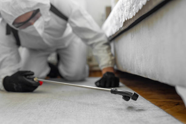 Professional Termite Control technician working in Coushatta, LA