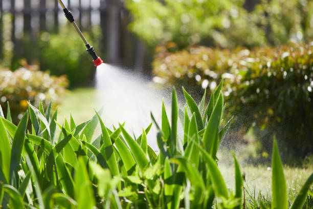 24/7 Emergency Termite Control experts in Coushatta, LA