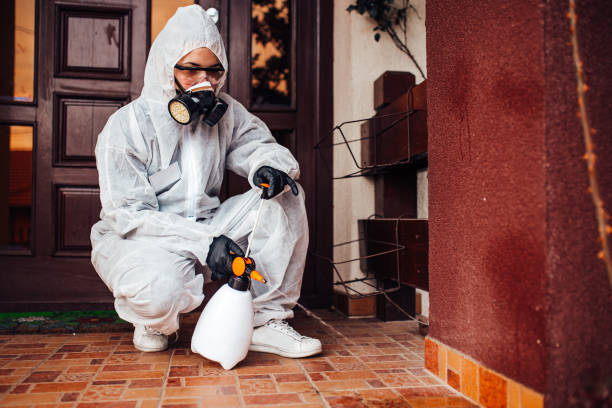 Reliable Termite Control contractor in Coushatta, LA by Nex Pest Control