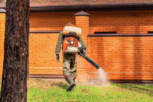 Top rated local Termite Control specialists in Coushatta, LA